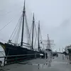 Katy Cornwall - @samara.cooper - TikTok