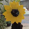 Samara Cooper - @samara.cooper6 - TikTok
