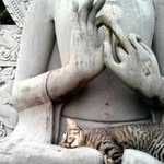 Samara Dean - @samaradean - Instagram