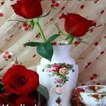 Samara Delgado - @samara.delgado.37 - Instagram