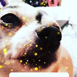 samara douglas - @samaradouglas63 - Instagram