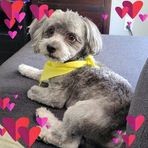 Samara Evans - Facebook