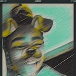 Samara - @samaraswafford - Instagram