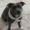 Samara - @samara.gilbert - TikTok