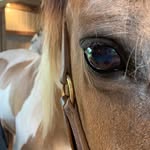 Samara Glenn - @explorewithwild - Instagram