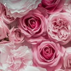 Samara Herrera - Facebook