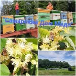 Samara House of Honey - @samarahouseofhone_yandex.ru - Instagram