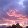 samara  - @samara_james2004 - TikTok
