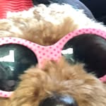 samara jenkins - @chairworld2019 - Instagram