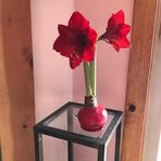 Samara Kemp - Facebook