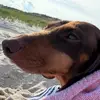 Marc - @samara.mccormack - TikTok