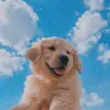 Fondos de pantalla❤️‍🔥 - @samaramolina101115 - TikTok