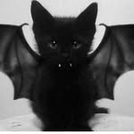 Samara Murray - @batmannnbeast - Instagram