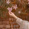 Samara Nazir - @samara.nazir6 - TikTok