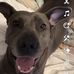Samara Nelson - Facebook