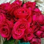 Samara Norris - Facebook