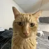 samara<3 - @samara..oliver - TikTok