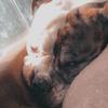 samarahp2 - @samarah.palmer - TikTok