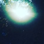 Samara Lydia Violet Patterson - @samaralydiaviolet - Instagram