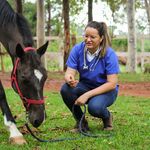 Sâmara Pinto - @samaraveterinaria - Instagram