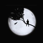 Samara - @samara_reddy_57 - Instagram