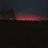 samara_riley - @samara_riley - TikTok