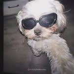 Samara Ruiz - @samara_ruiz0 - Instagram