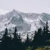 Samara Shields - @samara.shields1 - TikTok