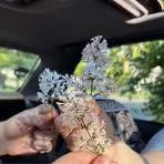Simara Stamper - Facebook