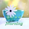 user4570416597138 - @samarawera - TikTok