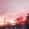 Samara Weaver - @samara.weaver - TikTok