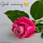 Sameer Bhatt - Facebook