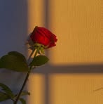 Sameer Devatwal - Facebook