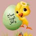 Sameer Khalaf - Facebook