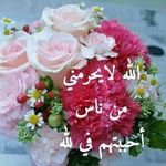 Sameer Khalaf - @khalafsameer - Instagram