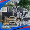 Sameer Merchant - @sameermerchant36 - TikTok