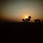 Sameer A Rathod - @_sameer.rathod - Instagram