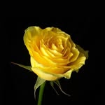 Sameer - @sameer__rathod - Instagram