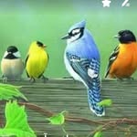Sameera afzal - @afz.al6611 - Instagram
