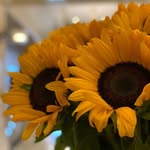 Sameera Afzal Ahmad - @sameera.afzal.ahmad - Instagram