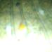 Sameera Rasheed - Facebook