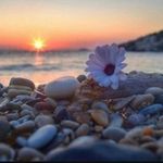 Sameera Rasheed - @sameerakhlaif - Instagram