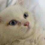 Sameera Rasheed - @_sameera____ - Instagram