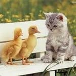 Sameh Amer - @samehamer1968 - Instagram