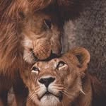 sameh amer - @samehamer145 - Instagram