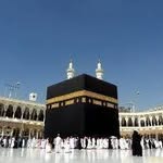 Sameh Amer - @samehamer896 - Instagram