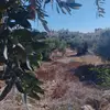 karam.samer 22🇵🇸 - @karam.samer118 - TikTok