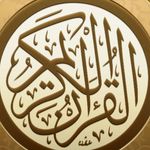 samer moussa - @samer_moussamer - Instagram