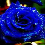 Samar - @samersuleiman - Instagram