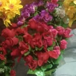 Sami Abbasi - @shareemabbasi_498 - Instagram